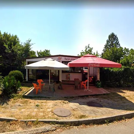 Rosa Rogosa Apartament Złote Piaski