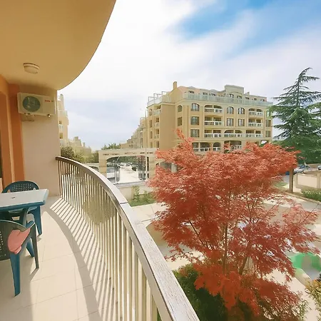 Rosa Rogosa Złote Piaski