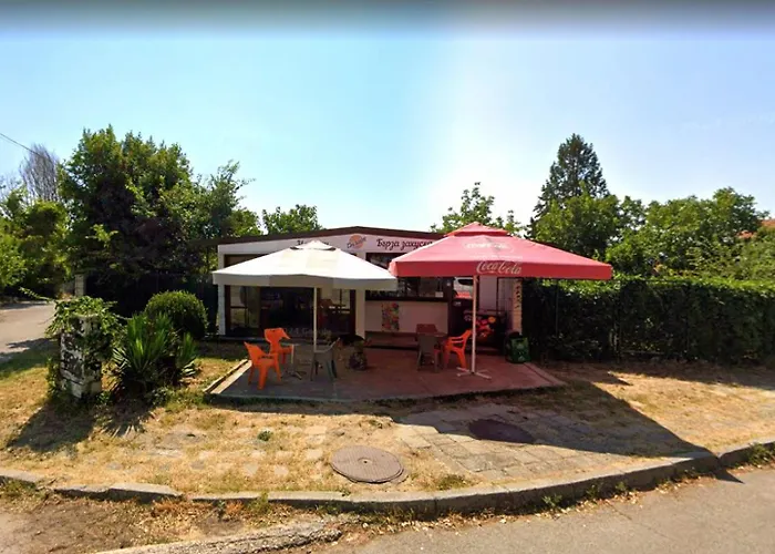 Rosa Rogosa Apartament Złote Piaski