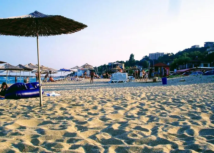 Rosa Rogosa * Golden Sands