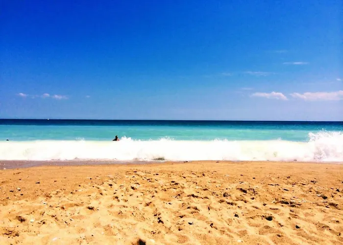 Rosa Rogosa Golden Sands